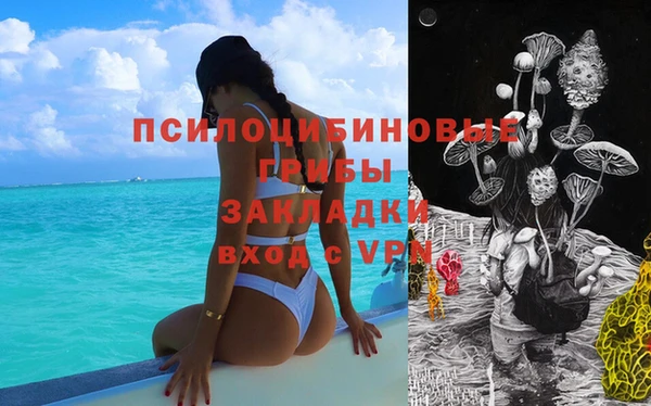 твердый Магадан