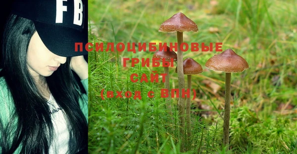 MDMA Premium VHQ Арсеньев