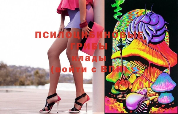 твердый Магадан